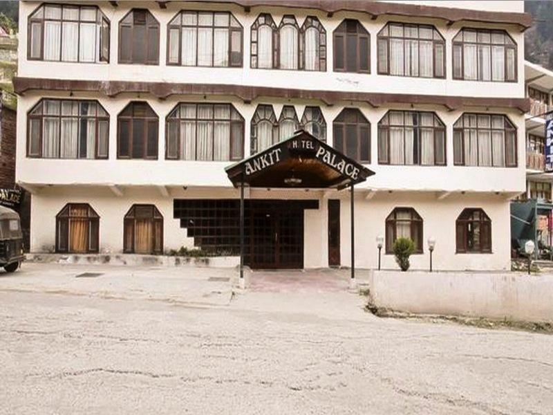 Ankit Palace Manāli Dış mekan fotoğraf