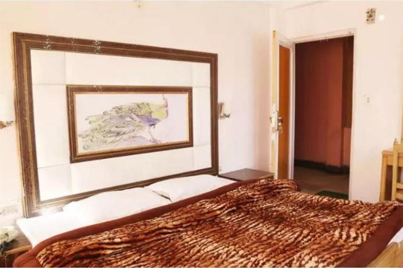 Ankit Palace Manāli Dış mekan fotoğraf